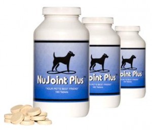 Nujoint plus review