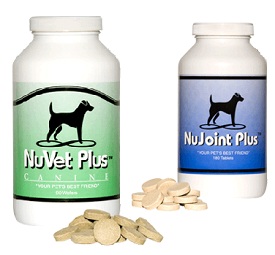 multivitamin for dogs and joint supplement