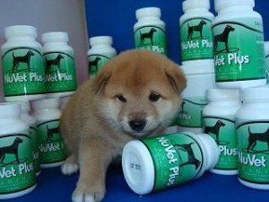 Nuvet plus review